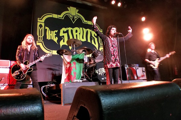 The Struts