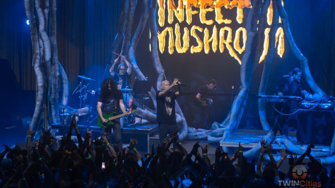 Infected Mushroom